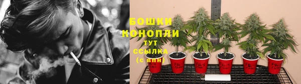 дживик Остров