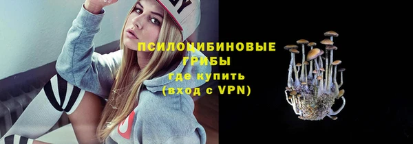 дживик Остров