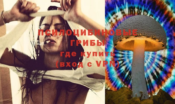 кокс Алзамай